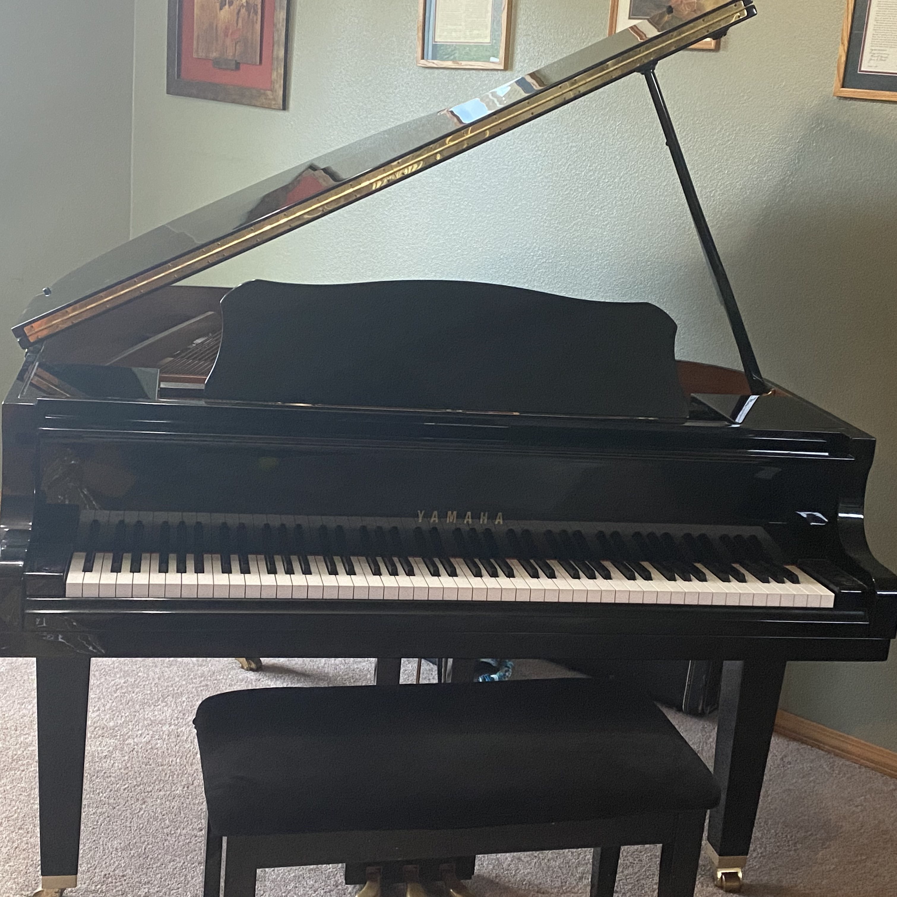 Image of Grand Piano